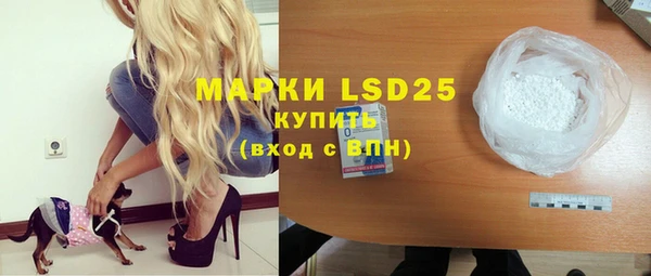 индика Армянск