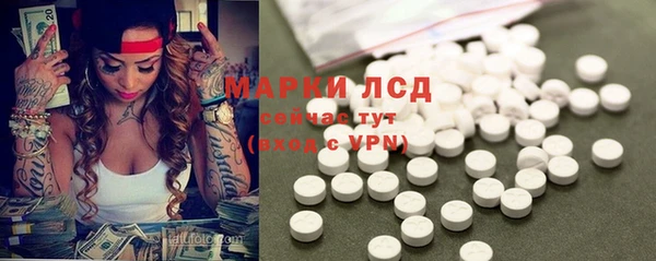 индика Армянск